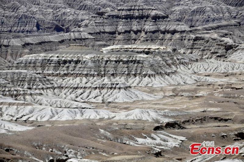 Tibet : le paysage unique de la?? forêt de terre ??de Zanda