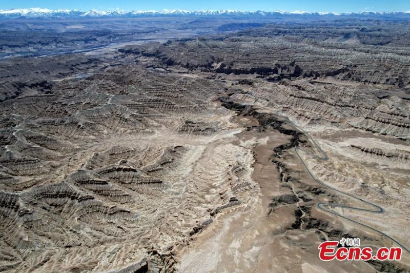 Tibet : le paysage unique de la?? forêt de terre ??de Zanda