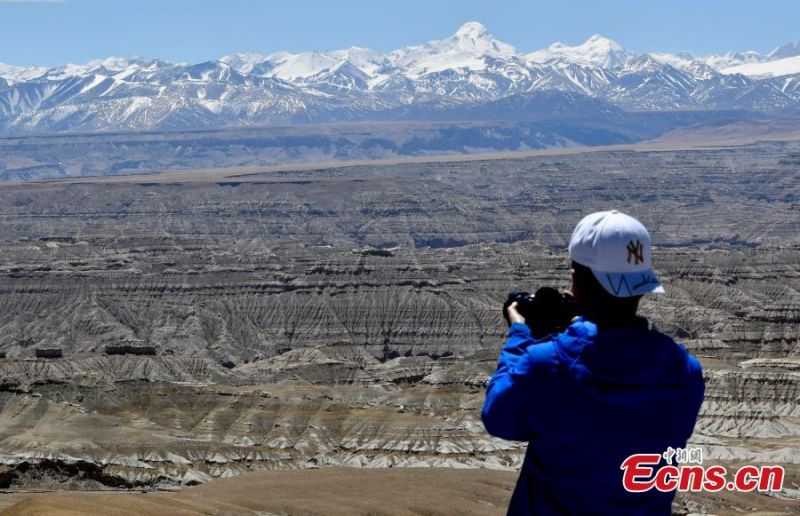 Tibet : le paysage unique de la?? forêt de terre ??de Zanda