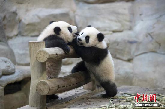 (Photo / China News Service)