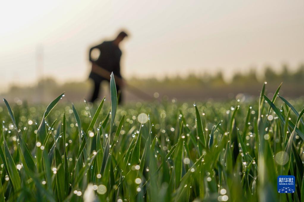 Les?travaux?de printemps battent leur?plein en Chine