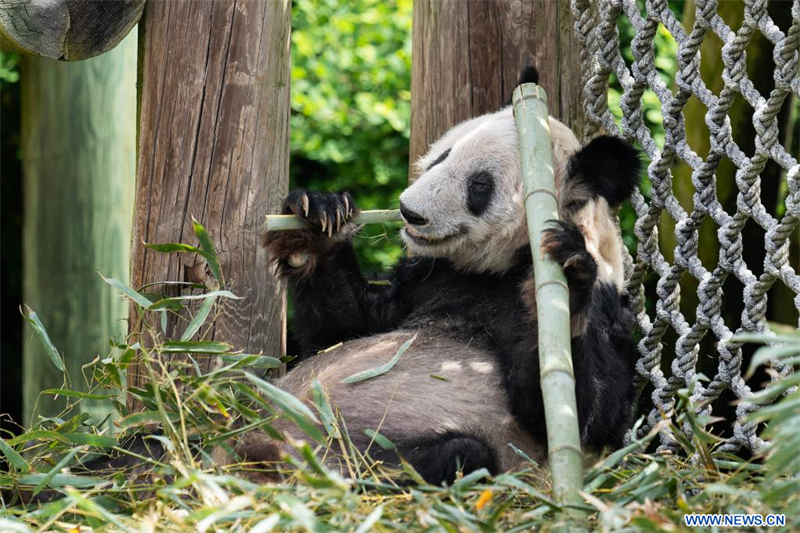 (Xinhua/Liu Jie)