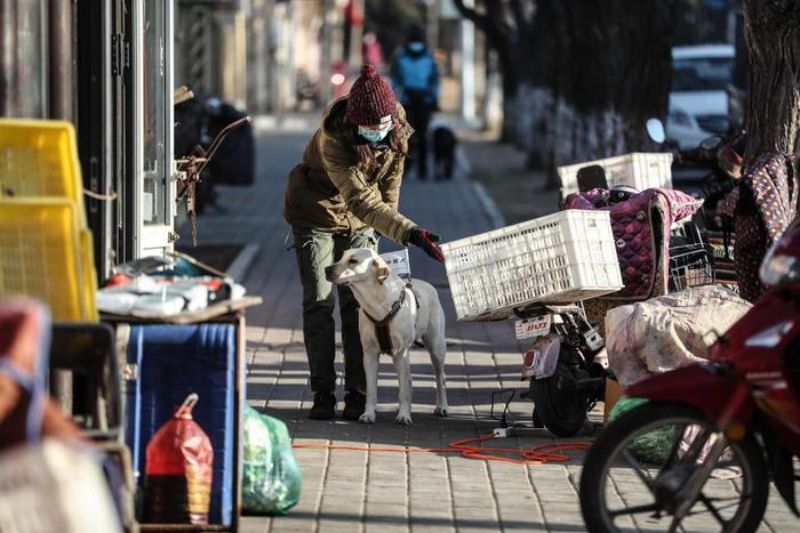 Liaoning?: comment?le Centre chinois de formation de chiens guides d'aveugles de?Dalian facilite la vie des malvoyants