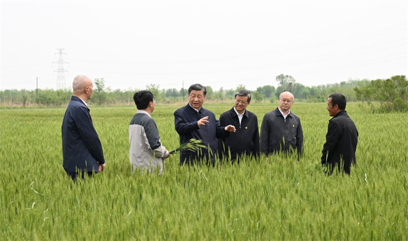 Xi Jinping visite la ville de Cangzhou, dans la province du Hebei