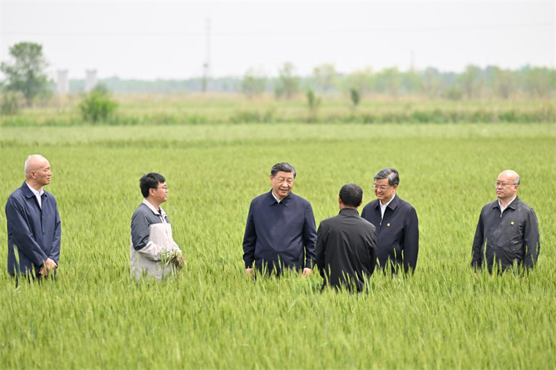 Xi Jinping visite la ville de Cangzhou, dans la province du Hebei