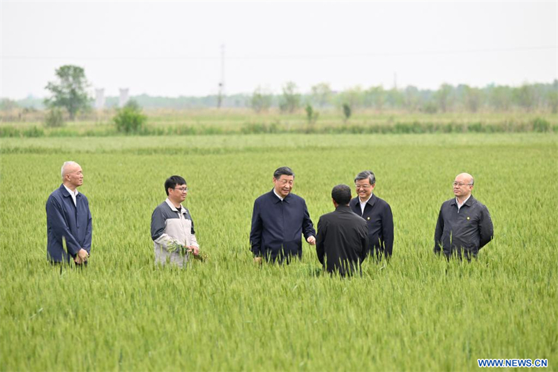 Xi Jinping appelle à faire de Beijing-Tianjin-Hebei une région pionnière dans la poursuite de la modernisation chinoise