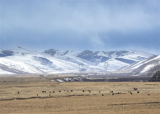 Dans le parc national de la prairie Hongyuan dans la province du Sichuan (sud-ouest de la Chine), des montagnes enneigées, des pyl?nes électriques, des yacks qui cherchent à manger et des stations photovolta?ques forment un beau paysage. (Liu Guoxing/Pic.people.com.cn)