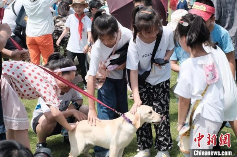 Guangxi : des élèves participent à un entra?nement avec des chiens policiers