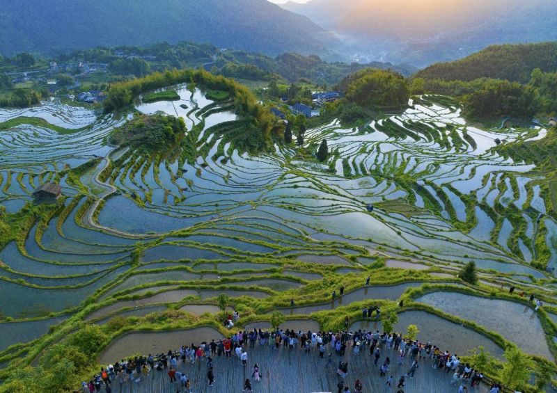 Le programme vert du Zhejiang donne une nouvelle image aux zones rurales