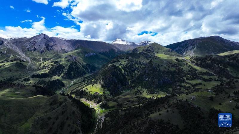 Qinghai : les sources des Trois Fleuves en été