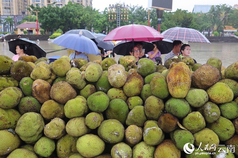 Yunnan: 40 tonnes de fruits distribuées gratuitement aux habitants et aux touristes