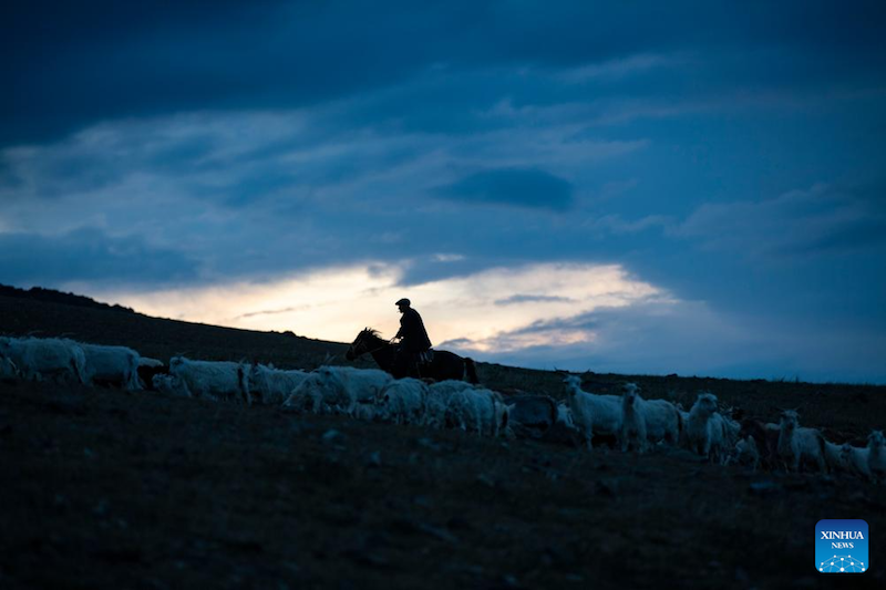 Xinjiang?: Une famille nomade embrasse une vie meilleure