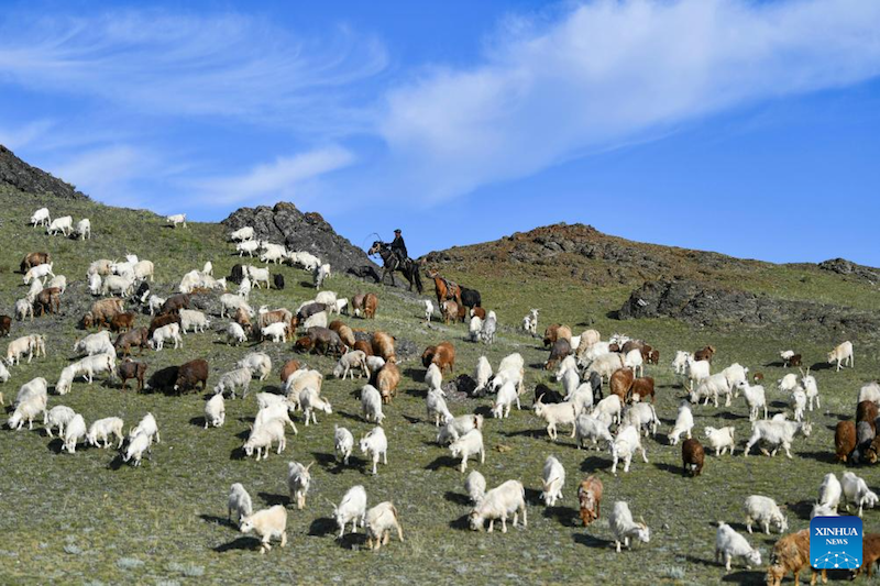 Xinjiang?: Une famille nomade embrasse une vie meilleure