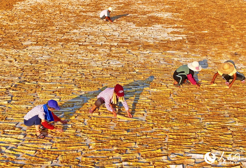 Jiangxi : comment le séchage des pousses de bambou permet d'augmenter les revenus