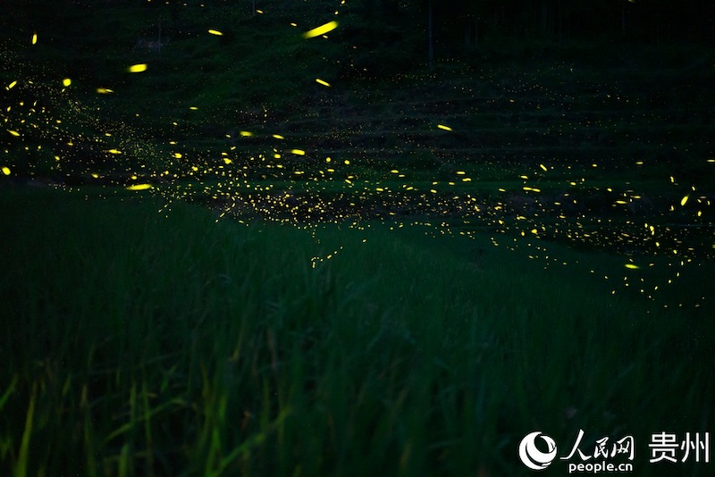 Guizhou: les champs en terrasses pittoresques dans les montagnes à Jiabang