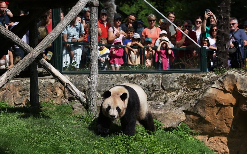 La France a fait ses adieux à Yuan Meng