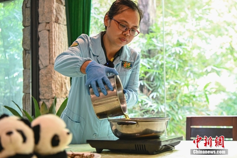 Guangdong : les pandas géants ont des moyens ? cool?? de lutter contre la chaleur estivale