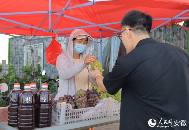 Anhui : le ? village du raisin ? à Huaibei entre dans la saison des vendanges