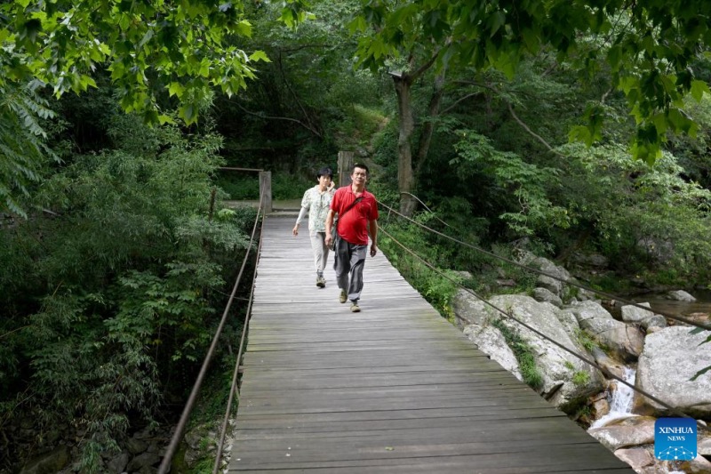 Anhui : un couple de gardes forestiers dévoué à la protection de la réserve naturelle de Tianma