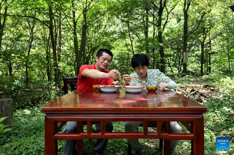 Anhui : un couple de gardes forestiers dévoué à la protection de la réserve naturelle de Tianma