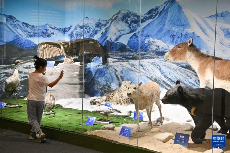 Visiter les musées le lundi