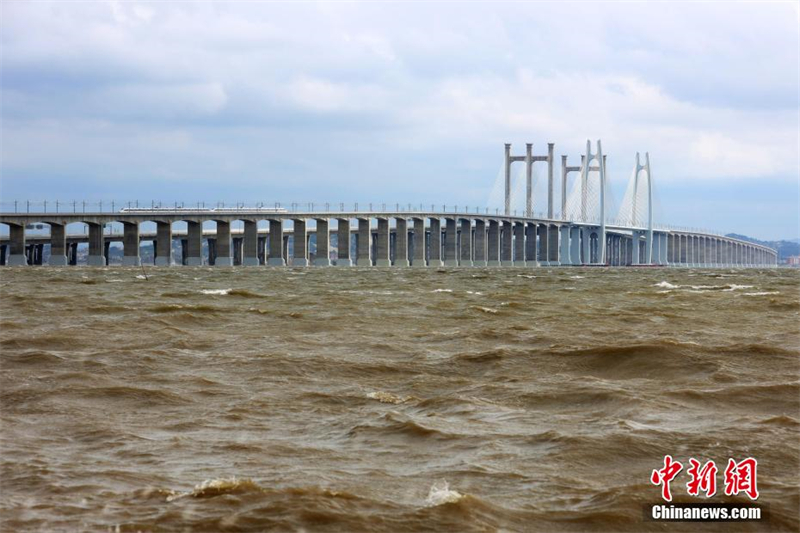 Début des essais de la première ligne à grande vitesse de Chine traversant la mer