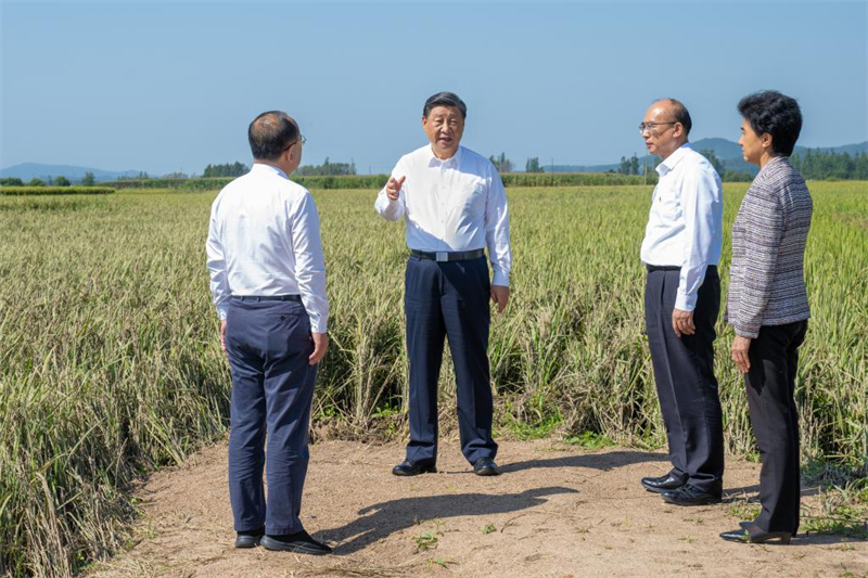 Xi Jinping rend visite à des villageois touchés par les inondations au Heilongjiang