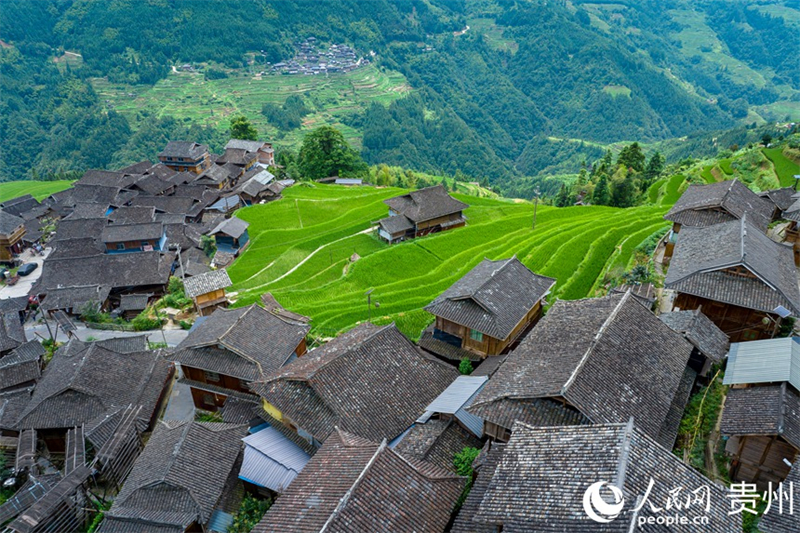 Le développement durable est la plus grande force de la province du Guizhou