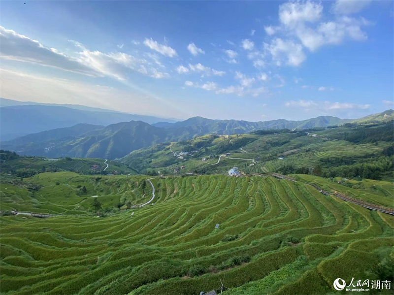 Les monts Xuefeng attirent les randonneurs du monde entier