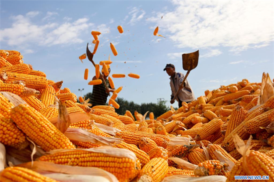 (Xinhua/Jia Zaixing)