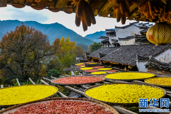 Le village de Huangling, dans la province du Jiangxi (est de la Chine). (Photo / Xinhua)