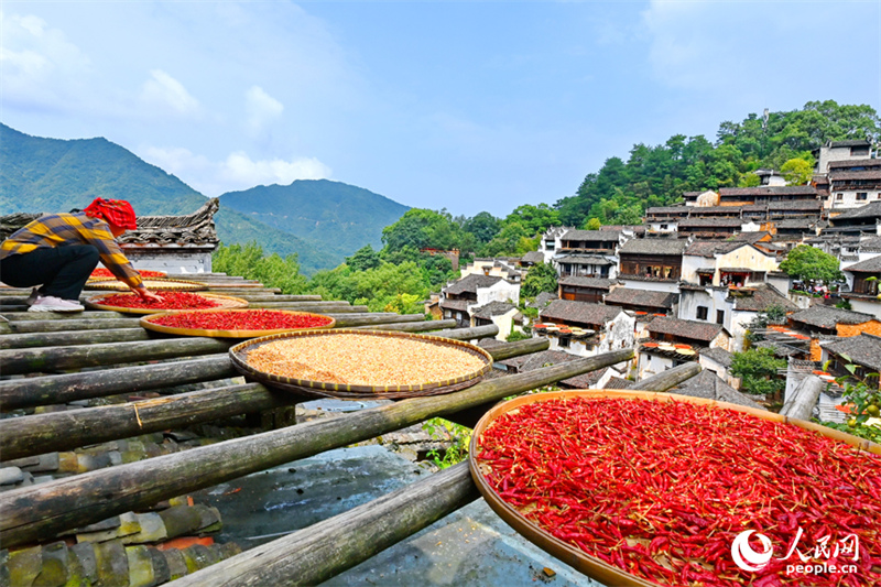 Jiangxi : des villageois font sécher leurs récoltes au soleil