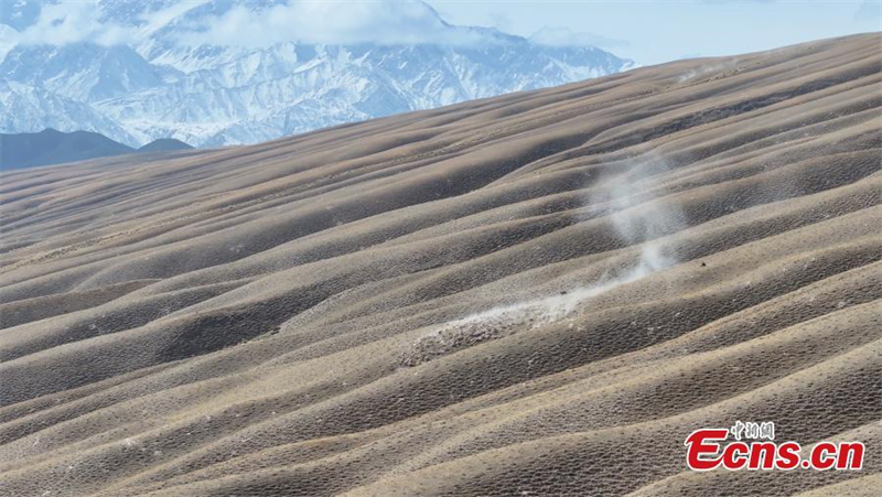 Début de la transhumance au Xinjiang