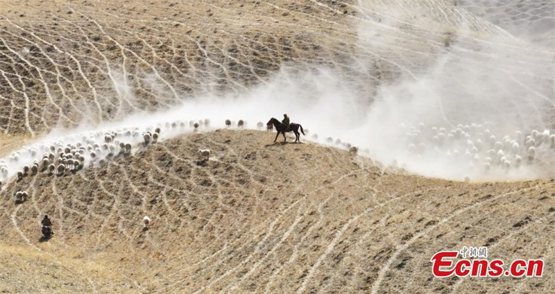 Début de la transhumance au Xinjiang