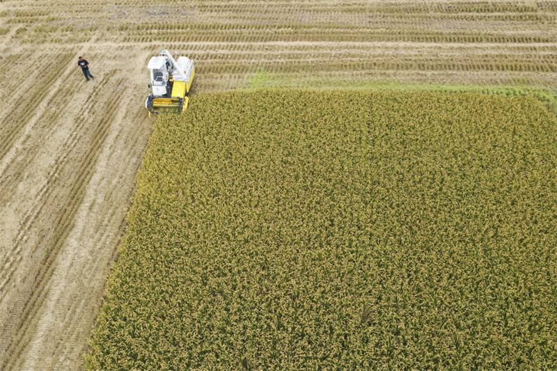 Jiangsu : la production agricole soutenue par les équipements intelligents