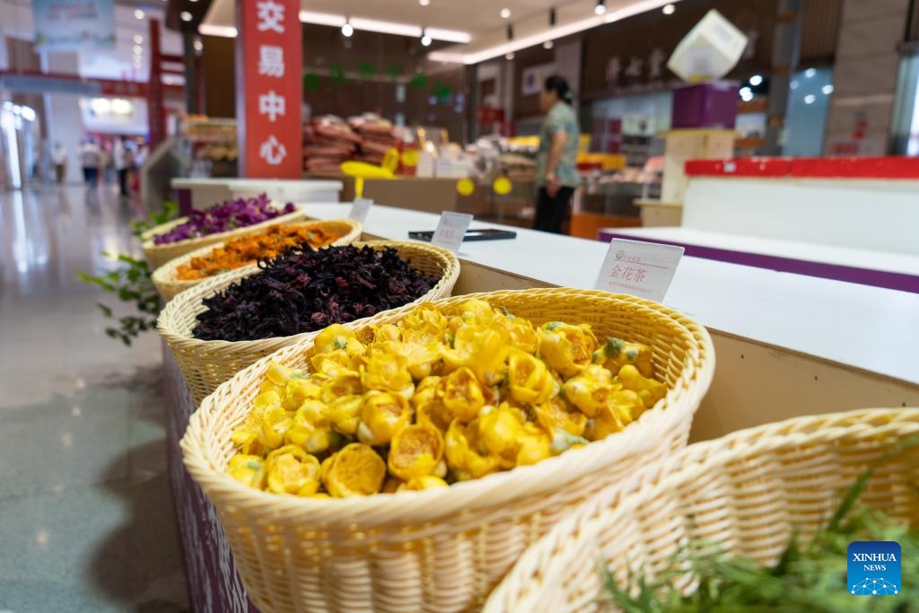 Des produits à base de plantes sont exposés dans une boutique d’un centre de commerce d’herbes médicinales chinoises dans la ville de Bozhou. (Xinhua/Zhao Jinzheng)