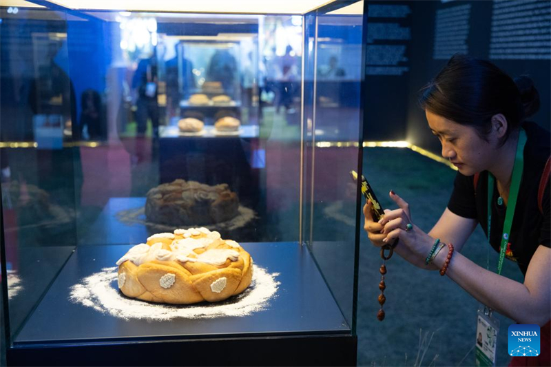 A Shanghai, le stand des pays invités d'honneur attire les visiteurs de la 6e CIIE