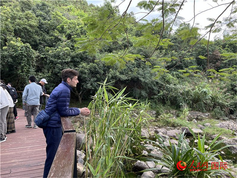 Guangdong : Le parc géologique national de la péninsule de Dapeng à Shenzhen, l'une des huit plus belles c?tes de Chine