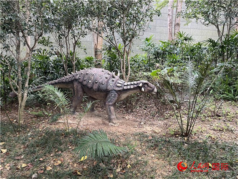 Guangdong : Le parc géologique national de la péninsule de Dapeng à Shenzhen, l'une des huit plus belles c?tes de Chine