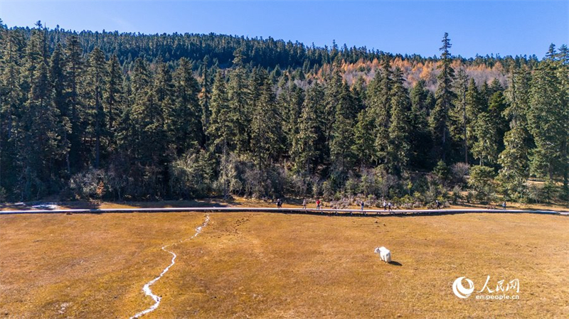 A l'approche de l'hiver, découvrez les paysages majestueux du parc national de Pudacuo