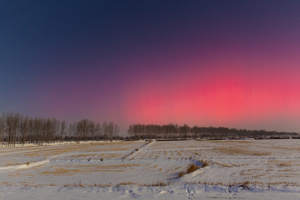 Des aurores boréales illuminent le ciel de Jiamusi, dans la province du Heilongjiang (nord-est de la Chine), le 1er décembre 2023. (Photo / Xinhua)