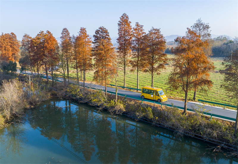 Anhui : magnifiques paysages de routes rurales