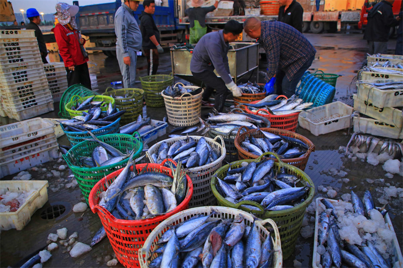 La pêche en hiver est exceptionnelle au Zhejiang