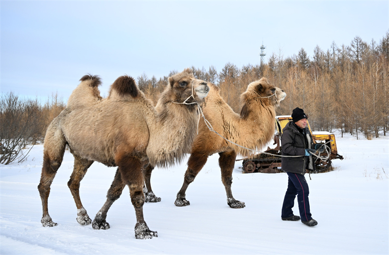 Mongolie intérieure : le tourisme se développe grace à la neige