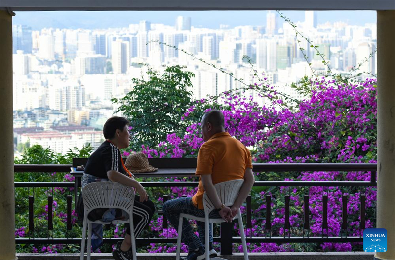 Des touristes se reposent dans une zone touristique de Sanya, dans la province de Hainan (sud de la Chine), le 15 décembre 2023. (Yang Guanyu / Xinhua)