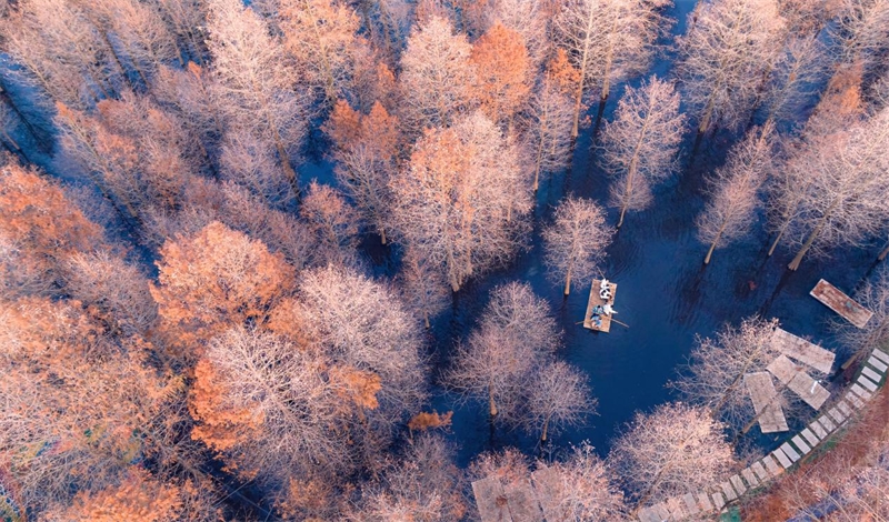 Respecter la nature, s'y conformer et la protéger