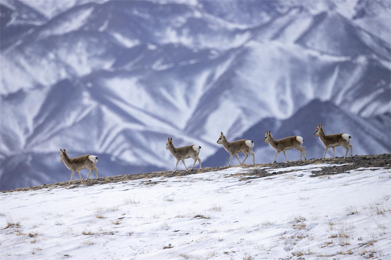 Respecter la nature, s'y conformer et la protéger