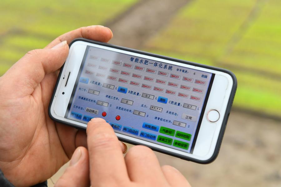 Un agriculteur utilise un système intelligent d'intégration eau-engraiseur son téléphone portable dans une serre multifonctionnelle dans l'arrondissement de Yuhu de la ville de Xiangtan, dans la province centrale du Hunan, le 23 mars 2023. (Photo : Chen Zeguo)