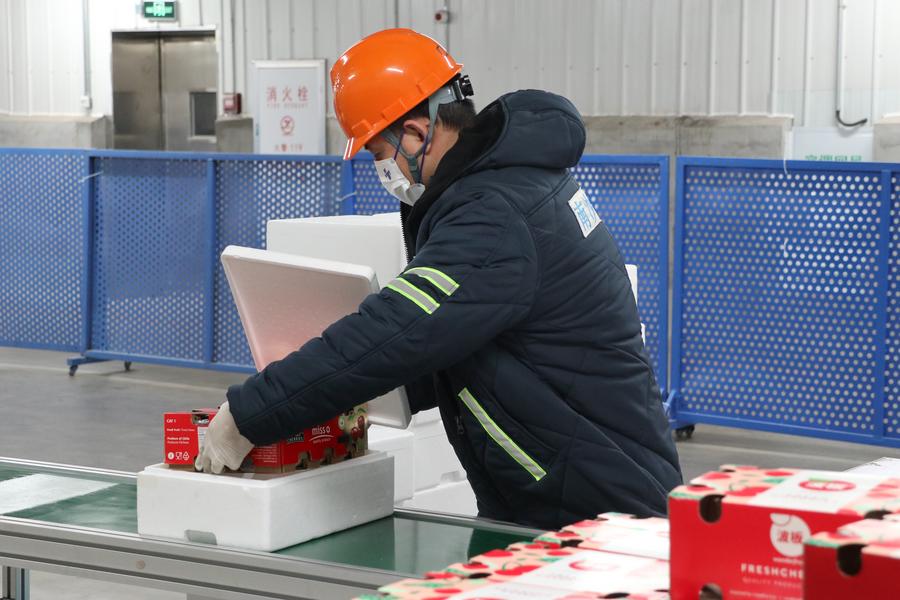 Un employé de la cha?ne du froid emballe une bo?te de cerises chiliennes dans la zone portuaire de Nansha du port de Guangzhou, à Guangzhou, dans la province chinoise du Guangdong (sud), le 20 décembre 2023. (Photo : Hong Zehua)