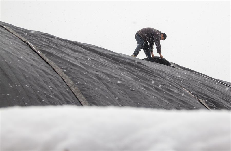 Chine : réponse aux chutes de neige pour les transports durant la fête du Printemps